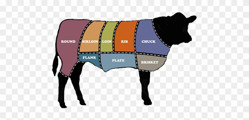 Beef Cut Chart Graphic - Dog Catches Something #717670