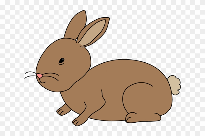Hare Clipart Arnab - Rabbit #717889