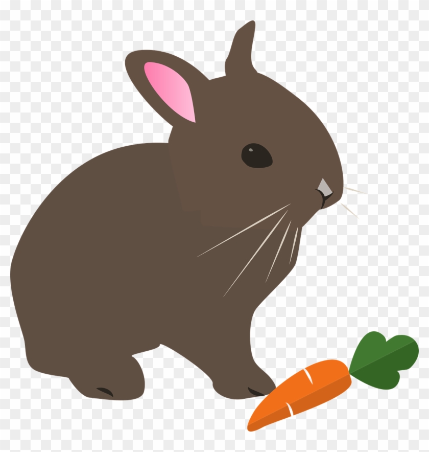 Hare Rabbit Easter Animal Pet Png Image - Animal Rabbit Cartoon #717908