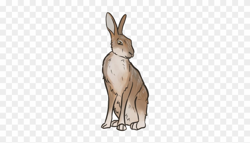 Flighty Hare Equi - Illustration #717909