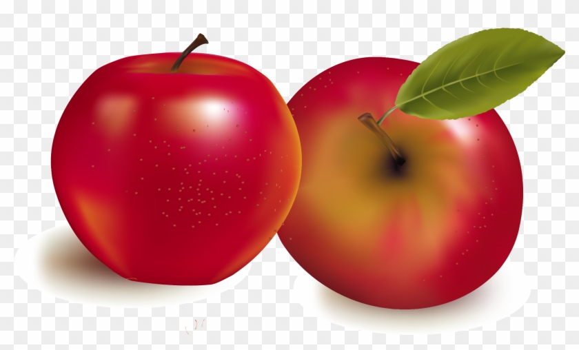 Fruit Royalty Free Stock Photography Illustration - Fruit Royalty Free Stock Photography Illustration #717995