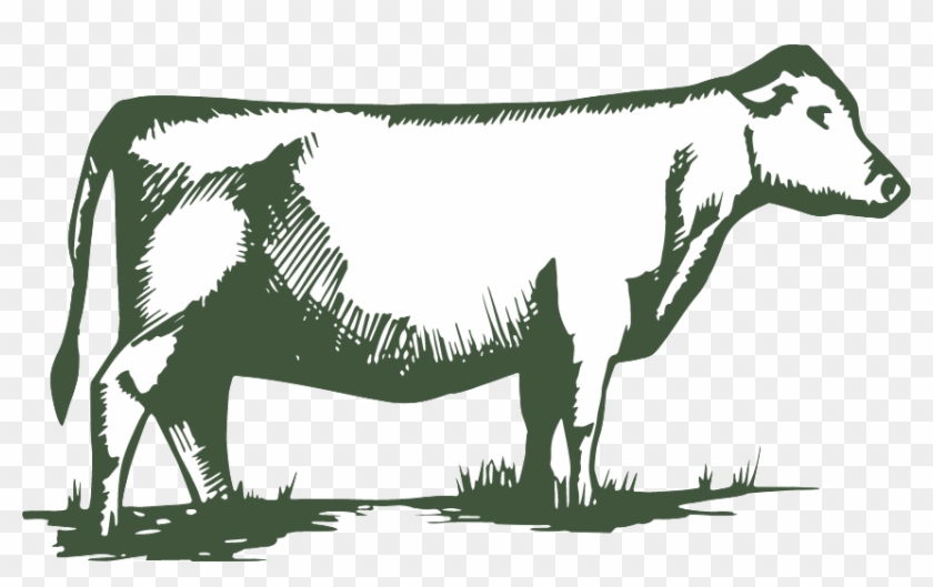 1 Pastured Beef Bundle - Silhouette #717919
