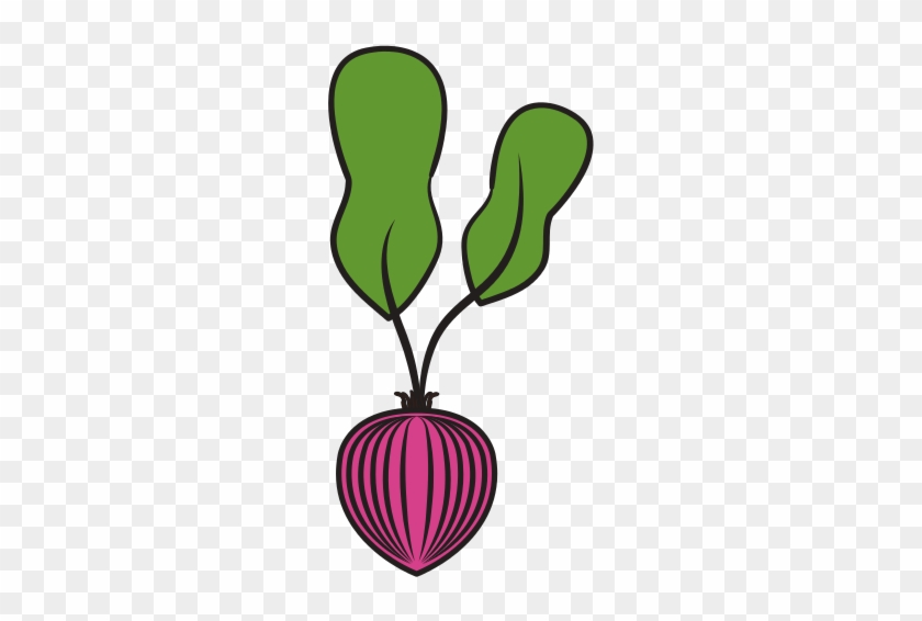 Onion Vegetable Healthy Food Illustration - Onion Vegetable Healthy Food Illustration #718168