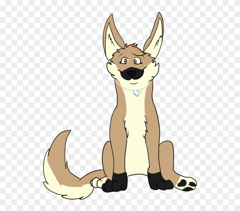 Cat Red Fox Hare Kangaroo - Cat Red Fox Hare Kangaroo #718333