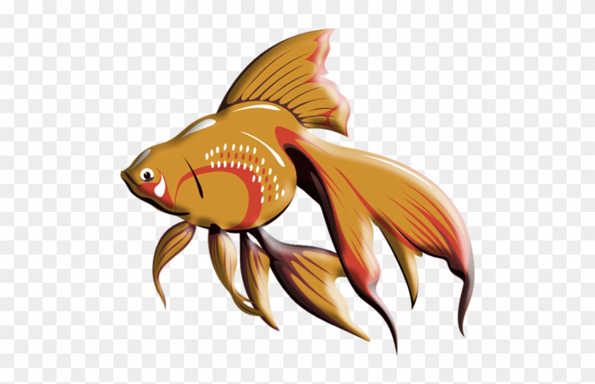 Album - Fish Clip Art #718304