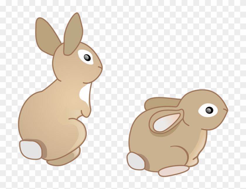 Doméstica Conejo Conejo Europeo De Dibujos Animados - Rabbit - Free  Transparent PNG Clipart Images Download