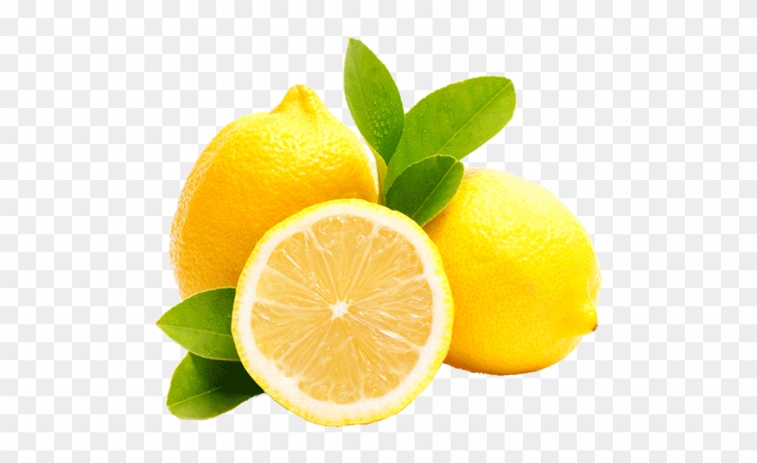Category Lemons - Difference Between Lime And Lemon Tree #718470