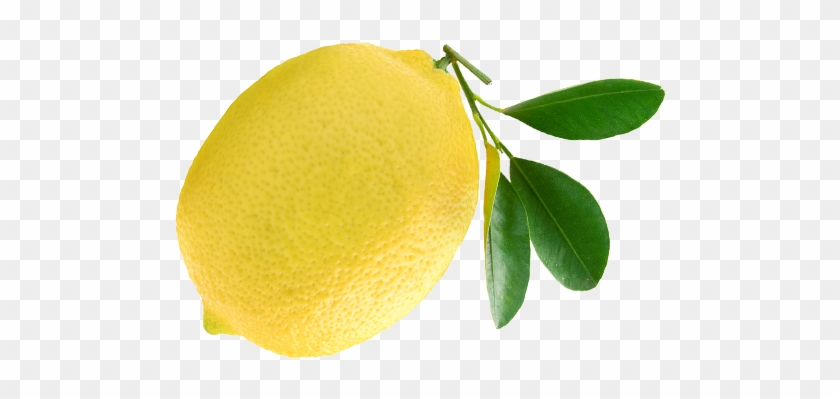 Other Fresh Scents Lemon - Vivere A Lungo Con L'aiuto Degli Agrumi - Haineault #718478