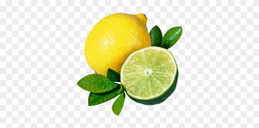 Lemon & Lime Bar - Lemons And Limes Png #718603