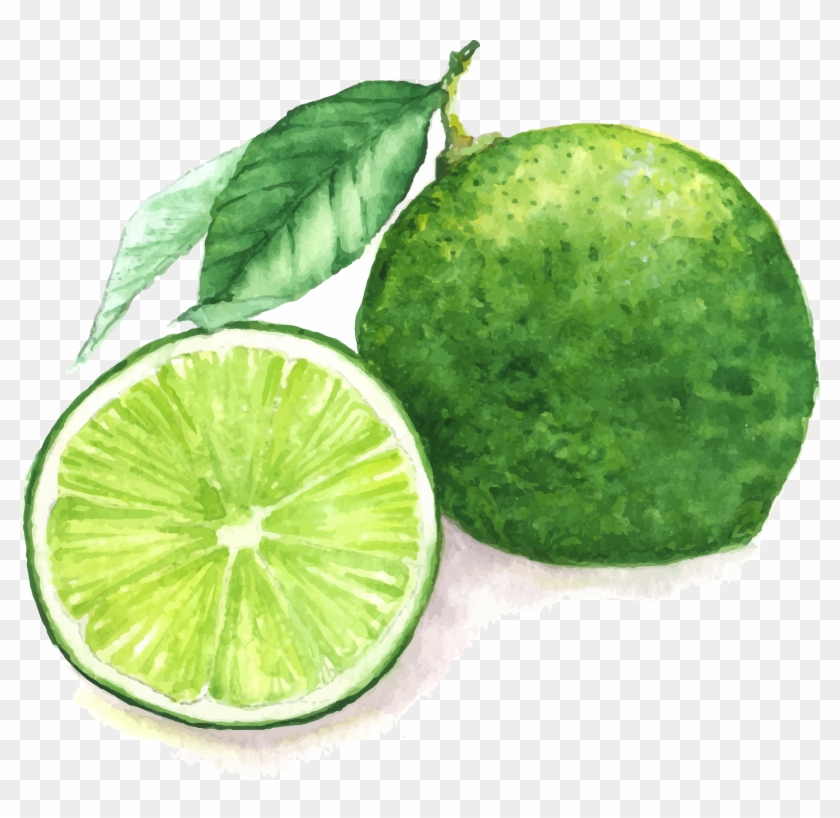 Juice Lemon Watercolor Painting Lime - Lime Drawing Png #718623