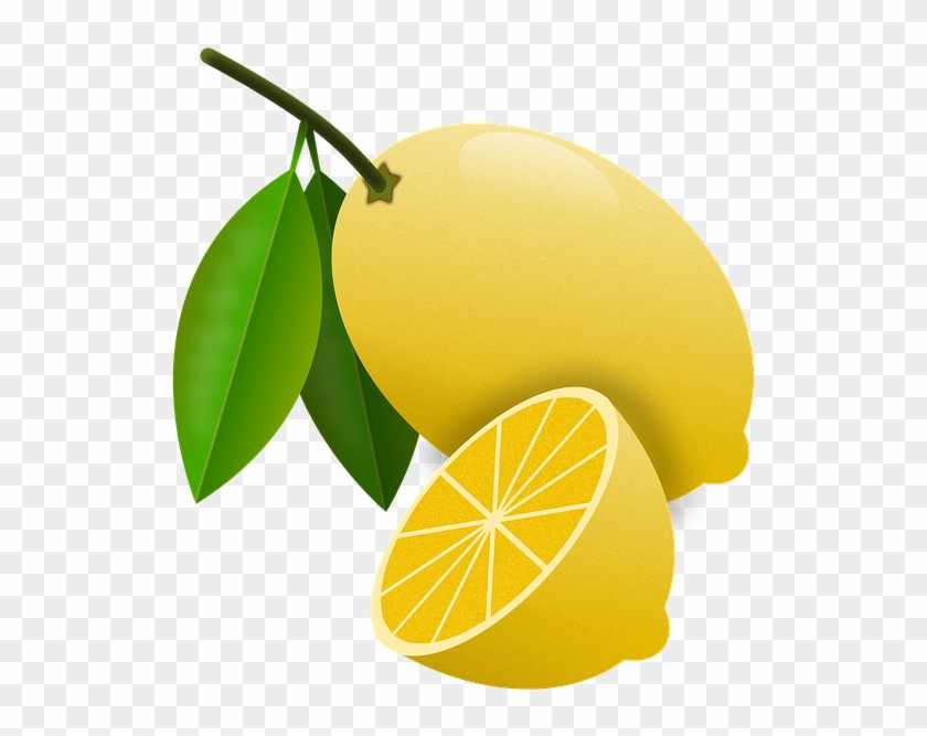 Lemons, Citrus, Fruits, Orchard, Lemon Tree, Acid - Bitter Orange #718627