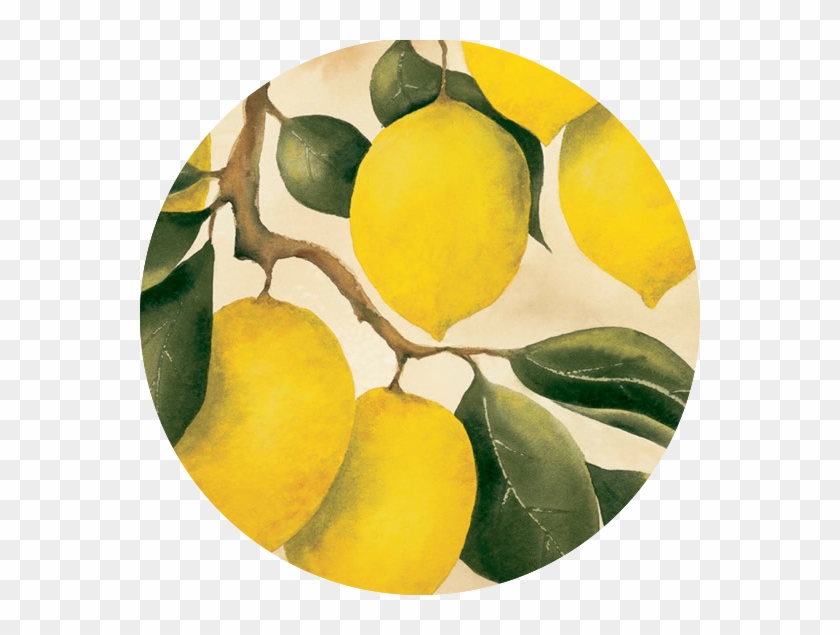 The Lemon Orchard - Lemon Orchard Alex La Guma #718665