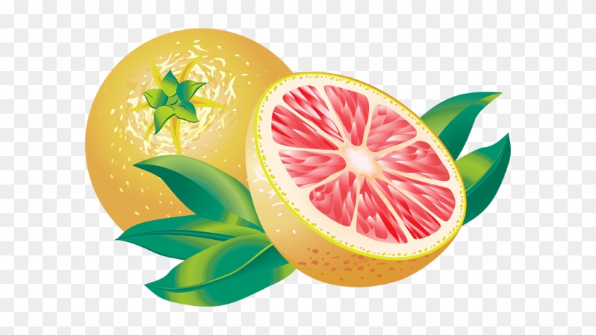 Clipart Info - Grapefruit Clipart #719694