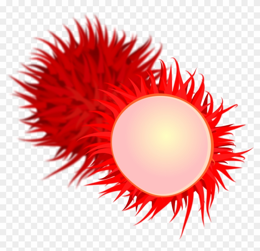 Rambutan Tropical Fruit Clip Art - Rambutan Clipart #719735