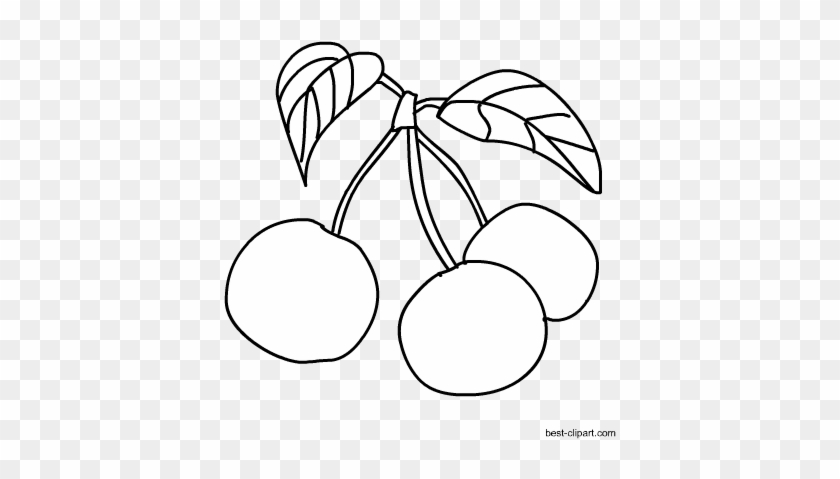 Black And White Cherries Outline Clip Art - Rainier Cherry #719893