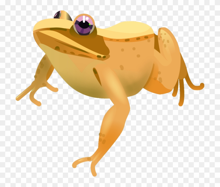 This Is A Buncee Sticker - Bufo #719982