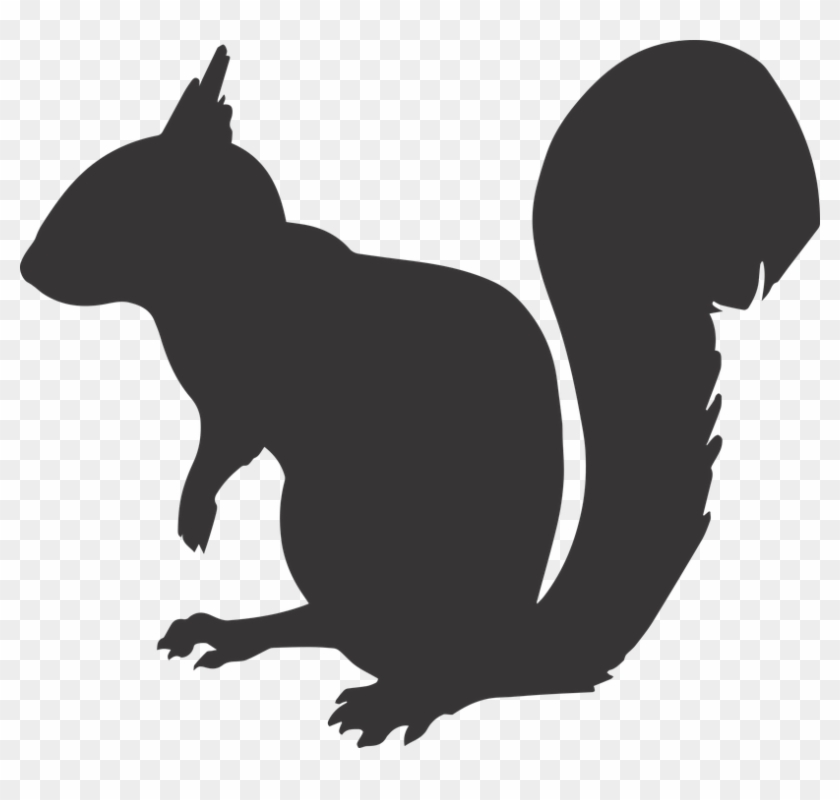 Squirrel Silhouette Animal Mammal Rodent N - Squirrel Silhouette Png #720463