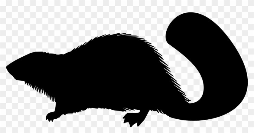 Beaver Transparent Png Images Free Download 020 - Beaver Silhouette Png #720496