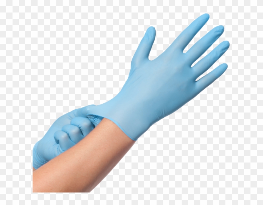 Rail Blue Vinyl Gloves #721132