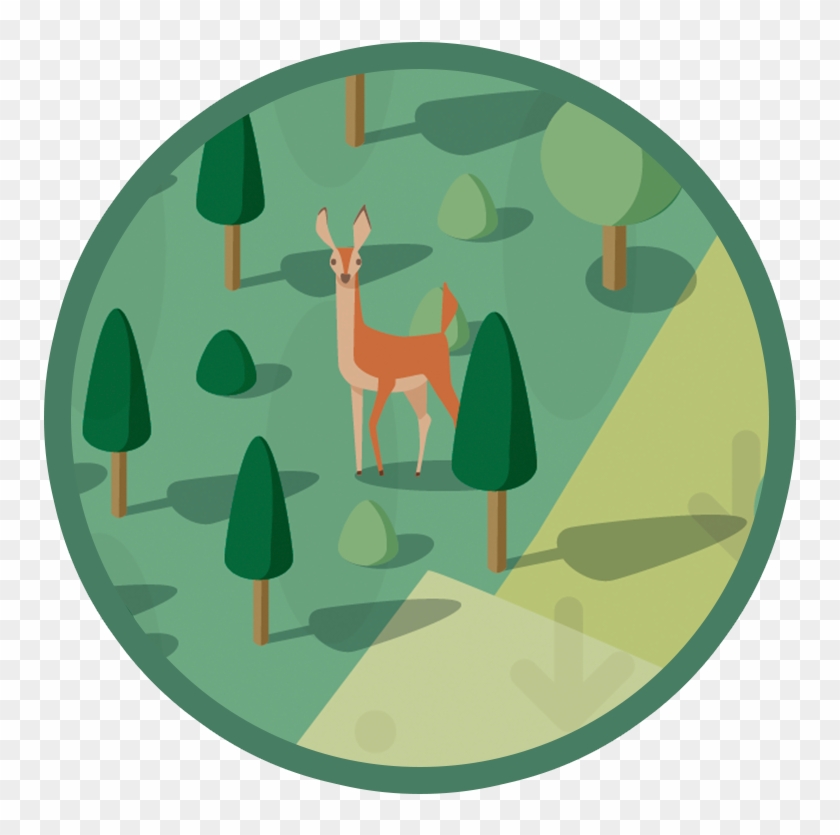 Vectorillustration Of A Deer In The Forest Carolin - Illustration #721740