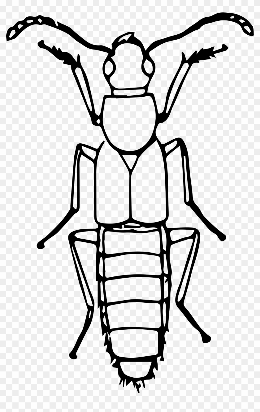 Volkswagen Beetle Line Art Drawing Clip Art - Volkswagen Beetle Line Art Drawing Clip Art #723323