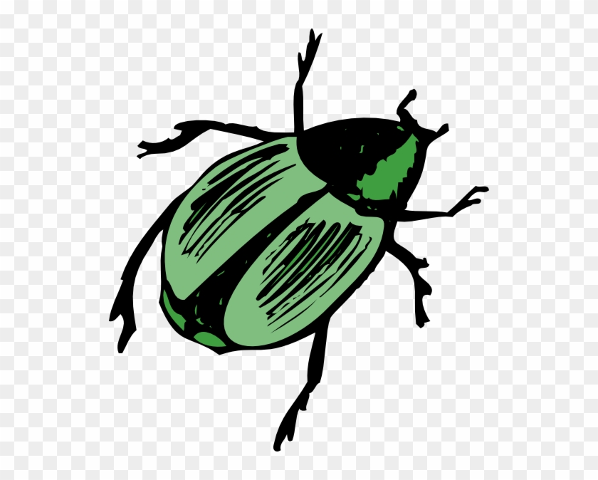 Shiny Green Beetle Clip Art At Clker Com Vector Clip - Beetle Clipart #723345