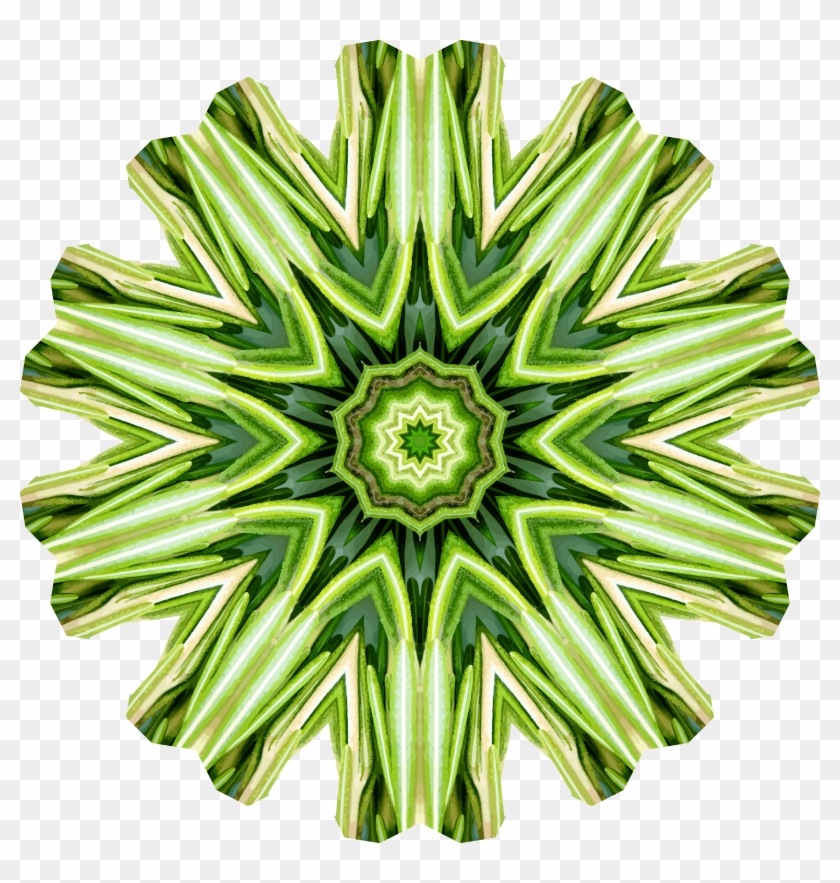 Rosemary Kaleidoscope 19 - Kaleidoscope #19 #723805