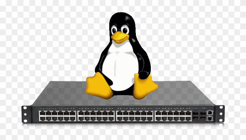 Download Ebook Linux Networking Pdf ~ Dhocnet Downloads - Linux Networking #723939
