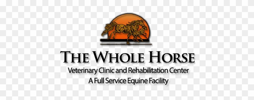 The Whole Horse Veterinary Clinic And Rehabilitation - Lion #724355