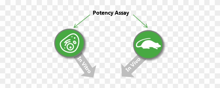 Potency Assays - Cell Based Potency Assays #724816