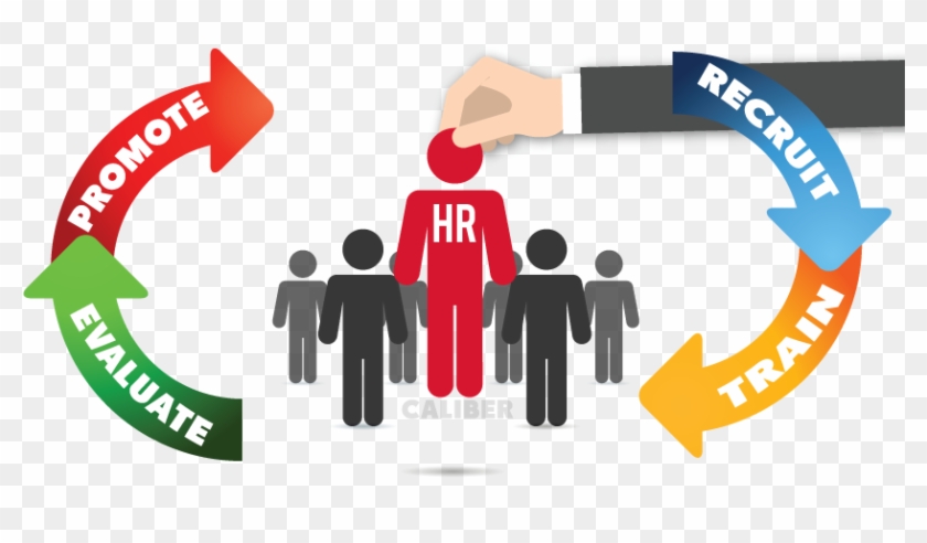 Our Products - Human Resource Management Png #725584