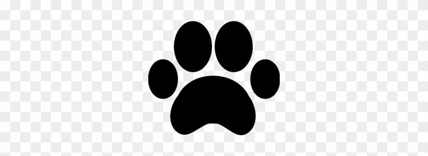 Call For Financing Options - Paw Print #725729