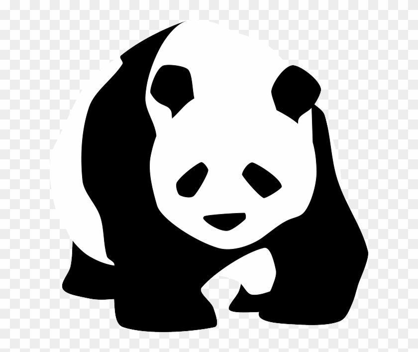 Endangered Species On The Rise The Impact Of Humans - Panda Black And White #129815