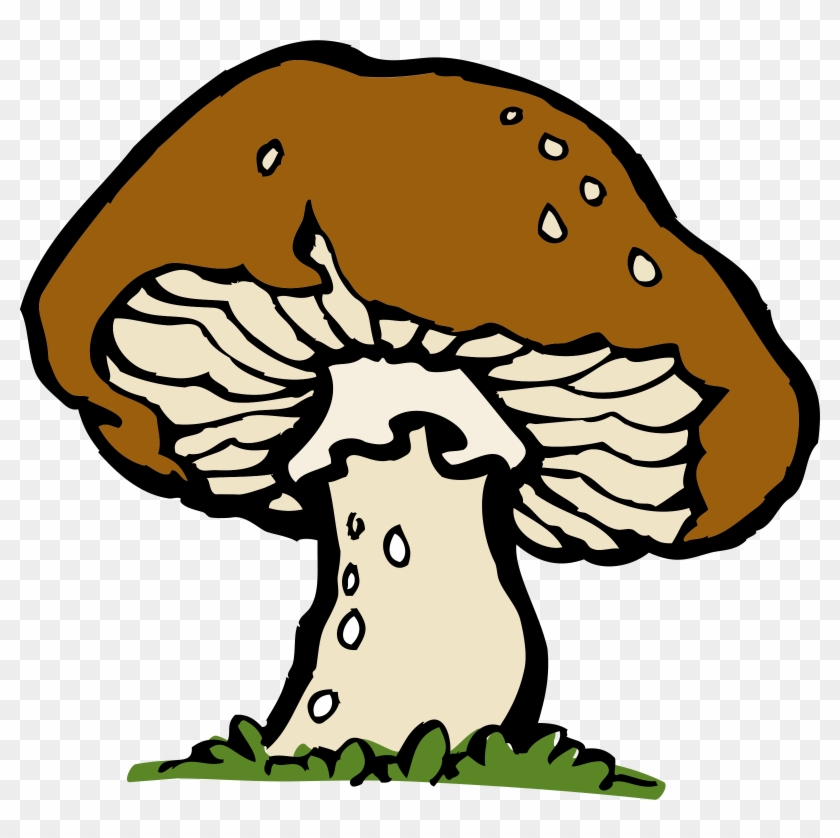 Mushroom Clipart Decomposer - Clip Art Mushroom #130257