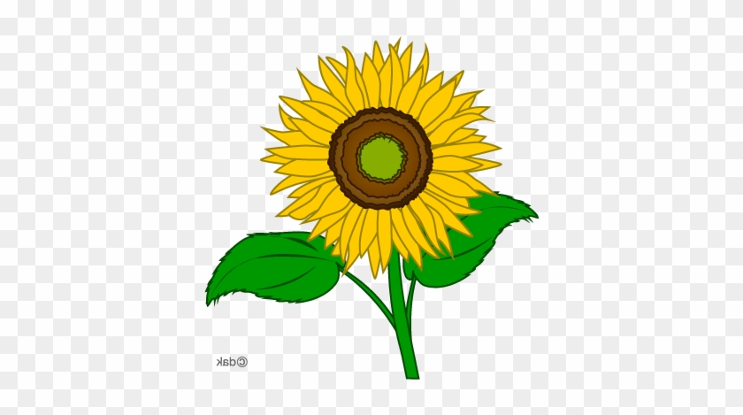 Sunflower Clip Art Clipart Free Clipart Microsoft Clipart - Sunflower Pictures Clip Art #130922