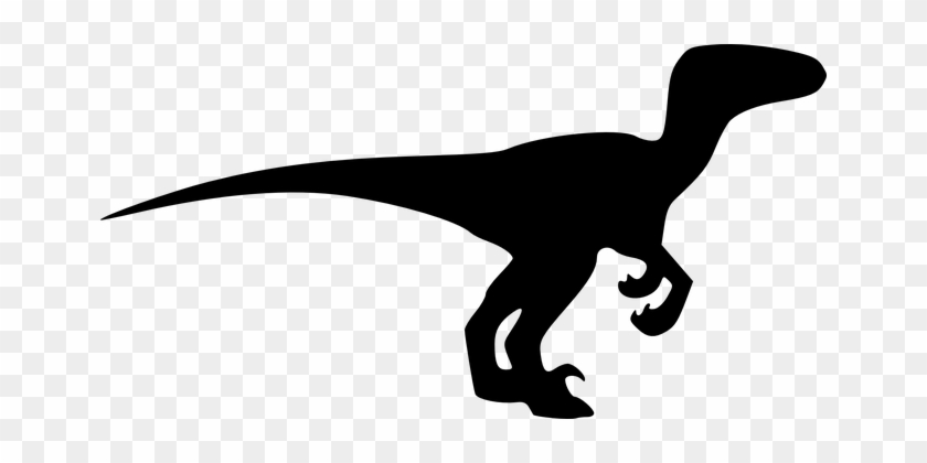 Dinosaur Animal Black Extinct Silhouette D - Velociraptor Silhouette #131396
