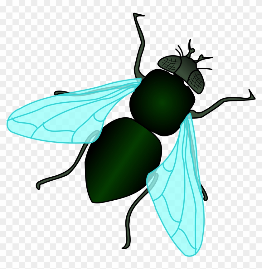 Fly Clip Art Free Clipart - Fly Preschool #132184