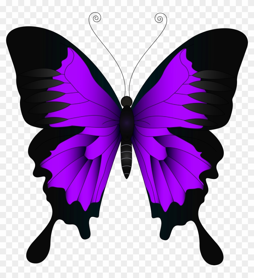 Butterfly High-definition Video Wallpaper - Purple Butterfly Clip Art #132983