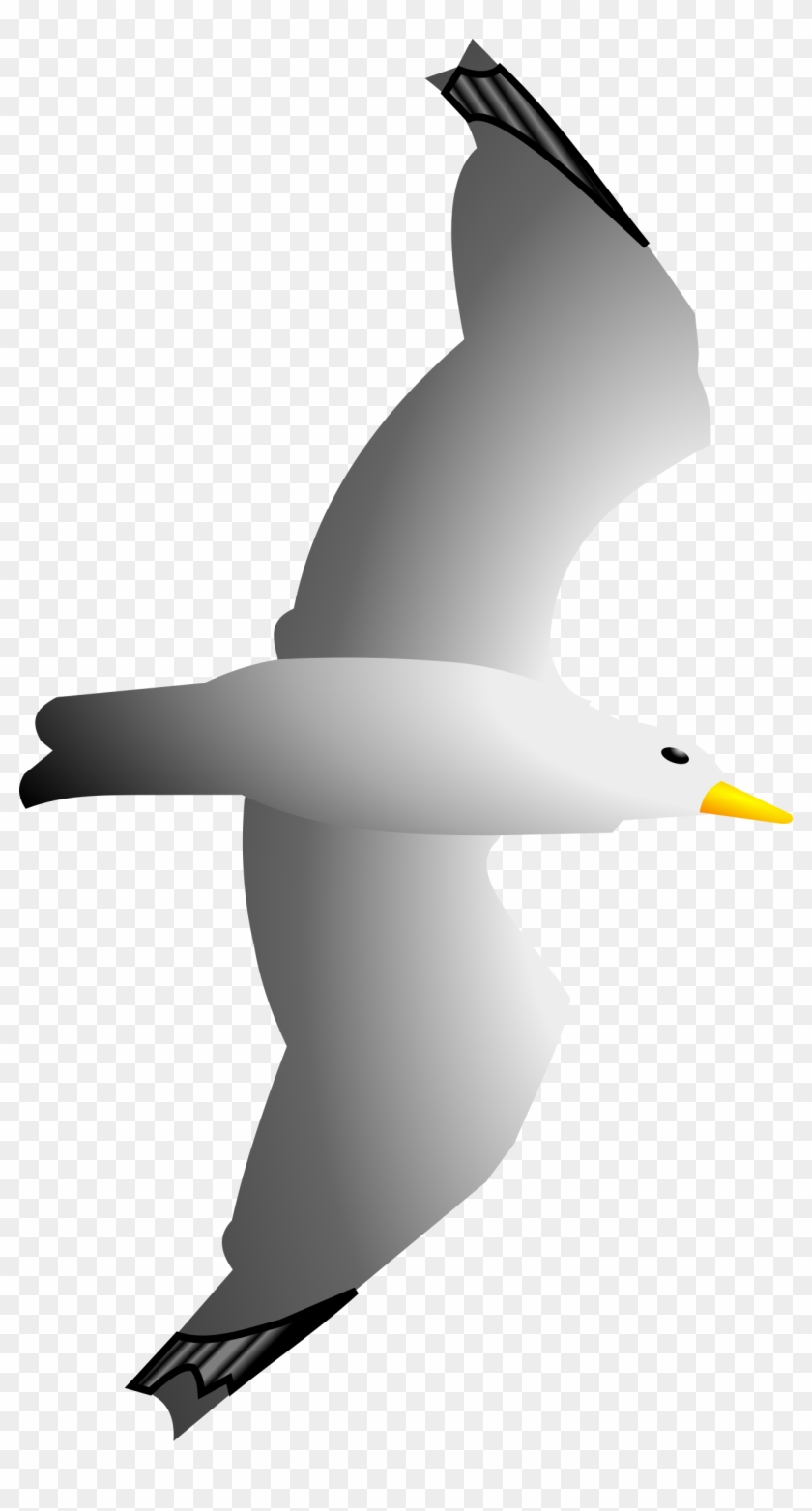 Seagull Clipart Clip Art Library - Seagull Flying Clipart #134320