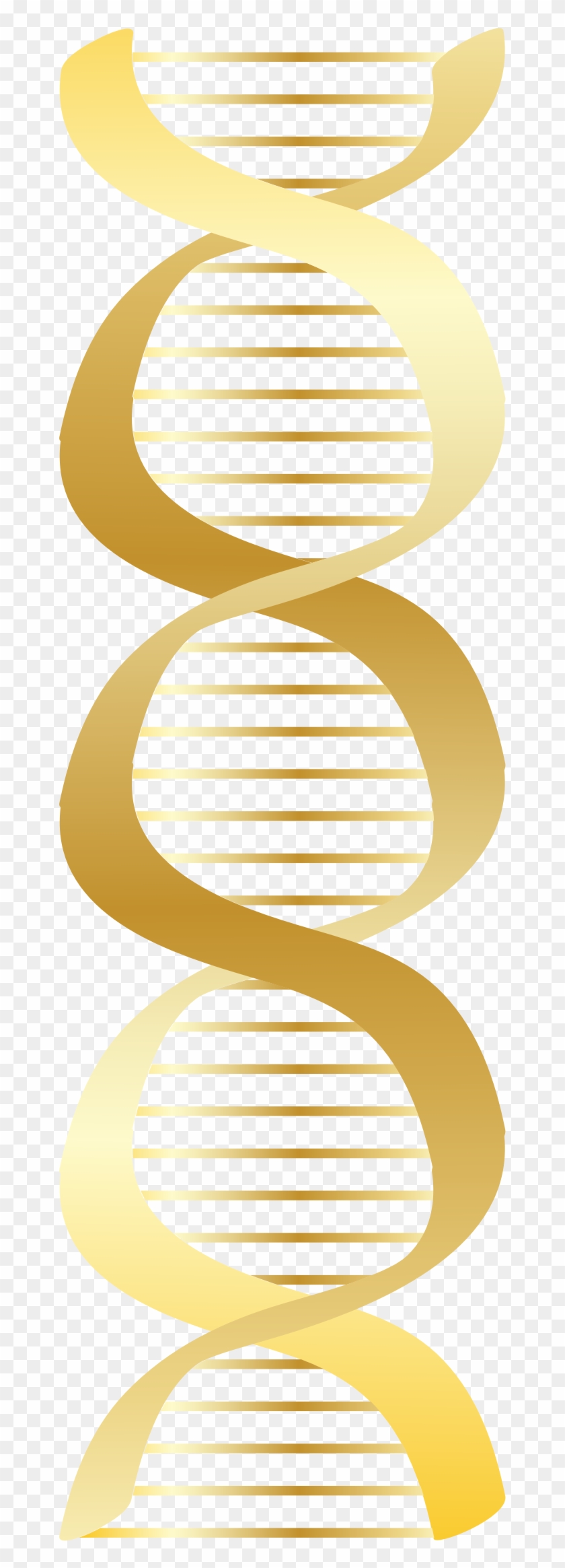 Dna Clip Art Free Clipart Images - Clip Art #134517