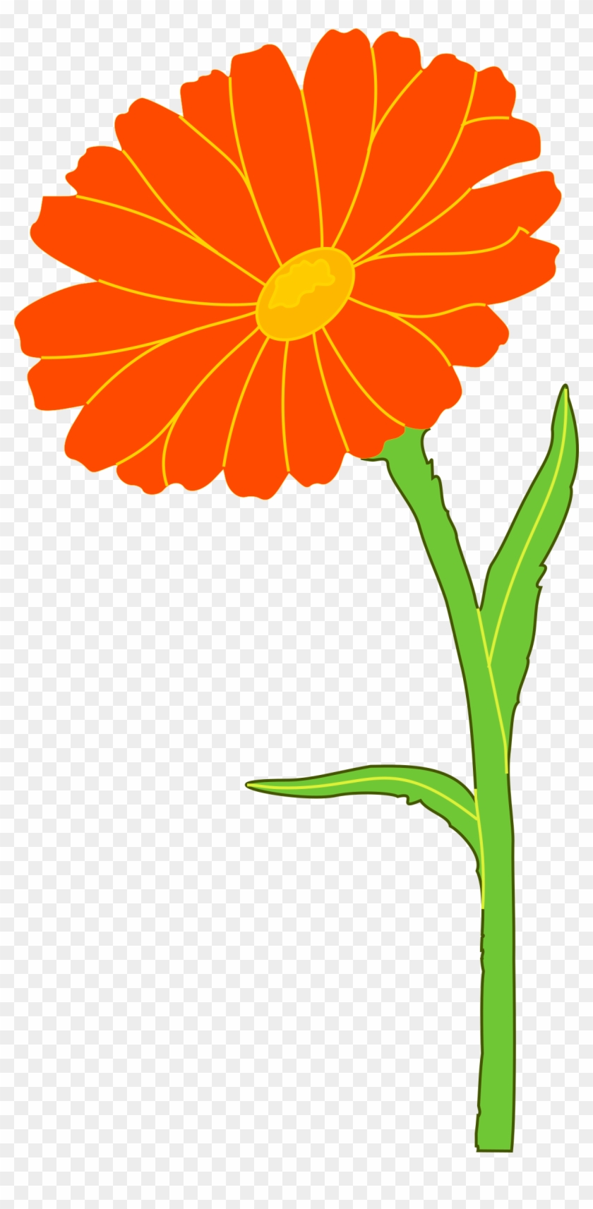 Big Image - Marigold Clipart #134669