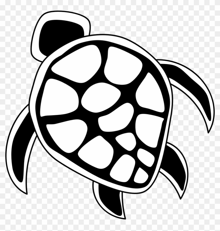Turtle Clipart Line Drawing - Black And White Turtle Png #135106