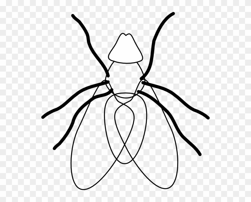 Black And White Flies Clip Art #135138