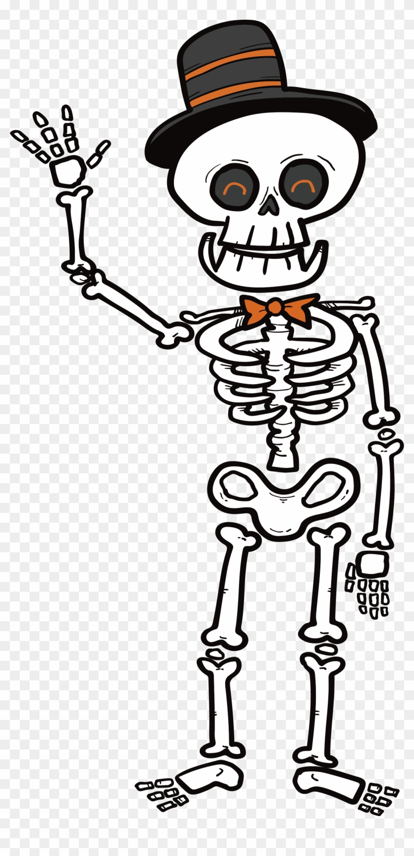 Human Skeleton Microsoft Powerpoint Clip Art - Human Skeleton Microsoft Powerpoint Clip Art #136557