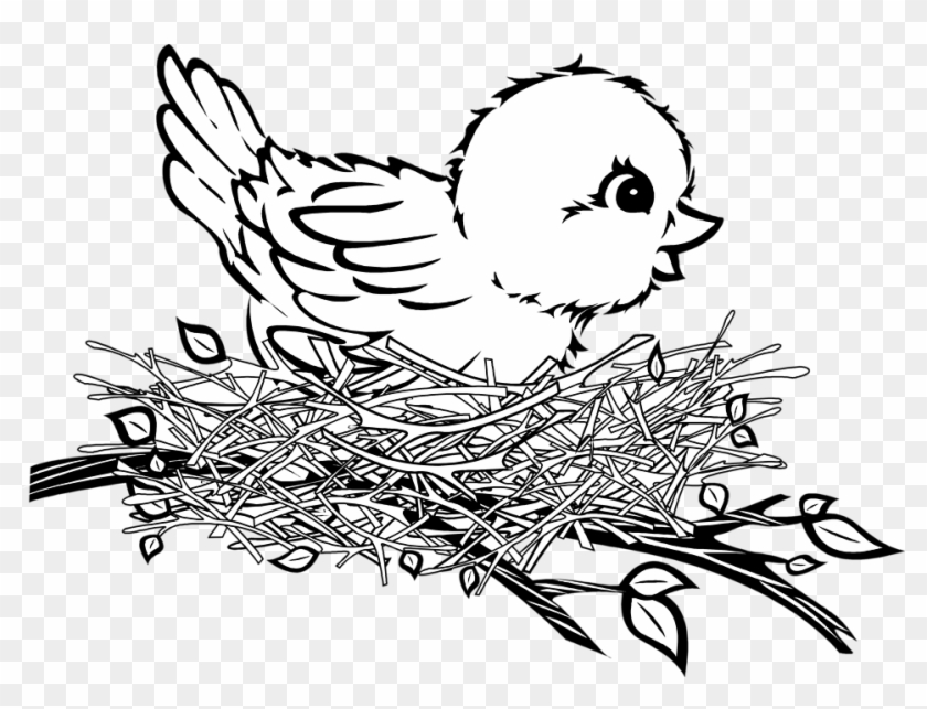 Clipart Of Birds Black And White Bird Nest Free Download - Bird In A Nest Clipart Black And White #138108