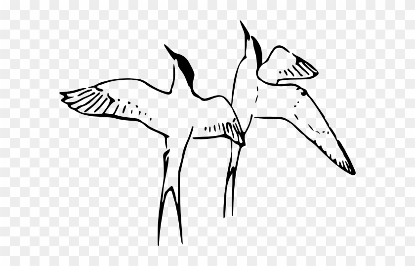 Together Forever Clipart - Arctic Tern Coloring Page #725886