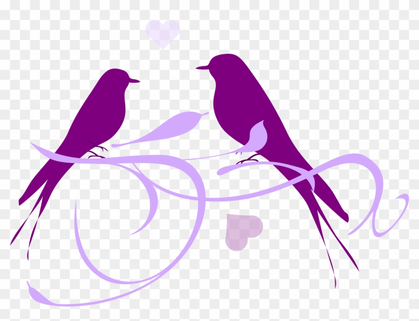 Lovebird Clip Art - Lovebird Clip Art #726415