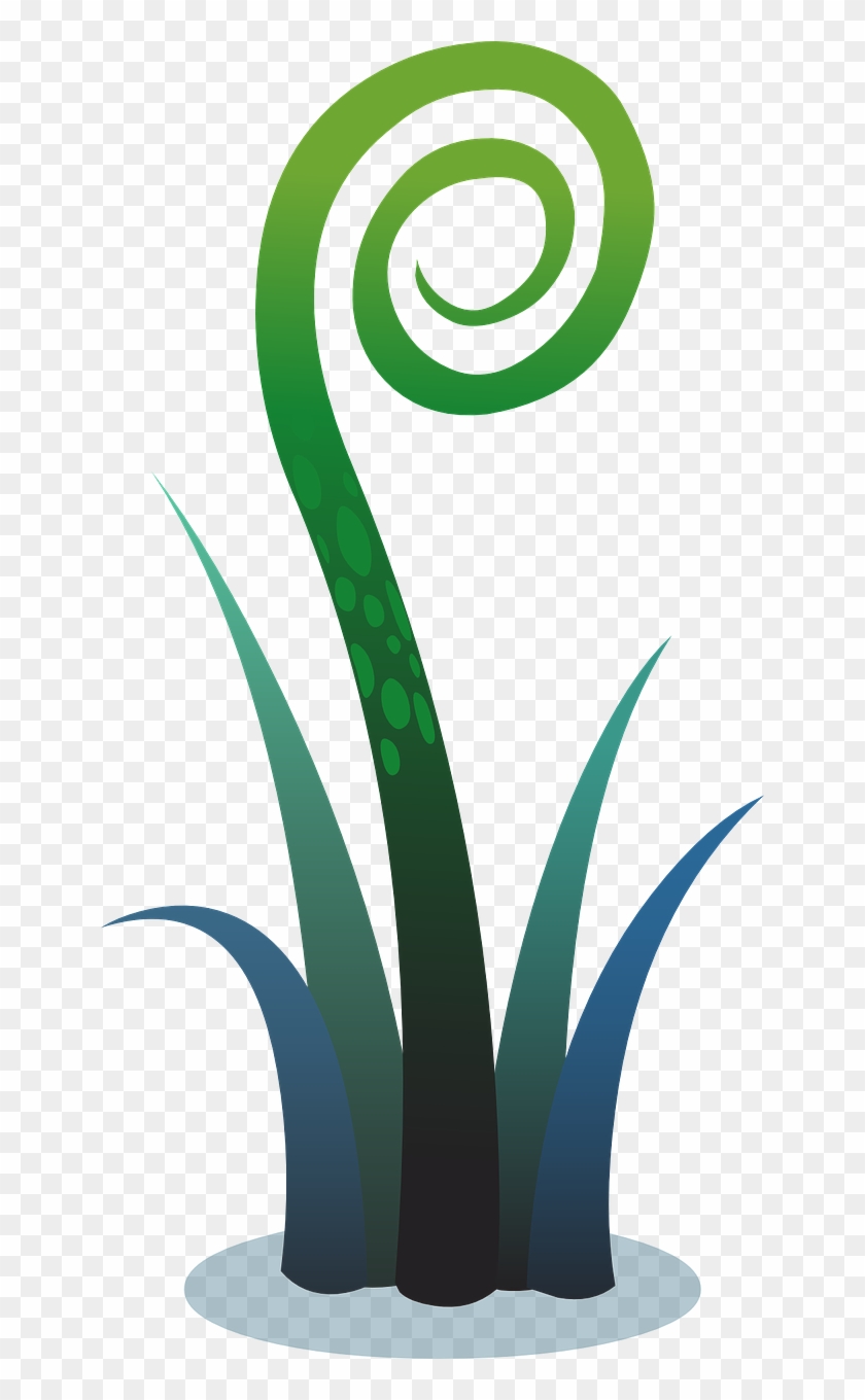 Plant Fern Clip Art - Plant Fern Clip Art #726487
