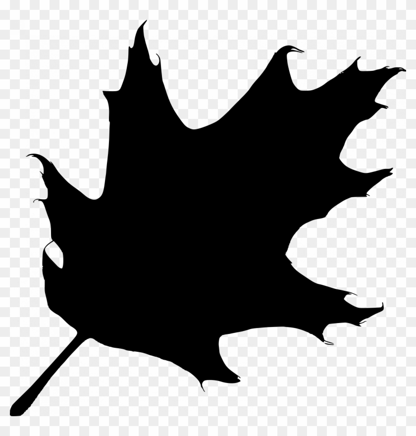 Leaves Clipart Small Leaf - Oak Leaf Silhouette Vector #726867