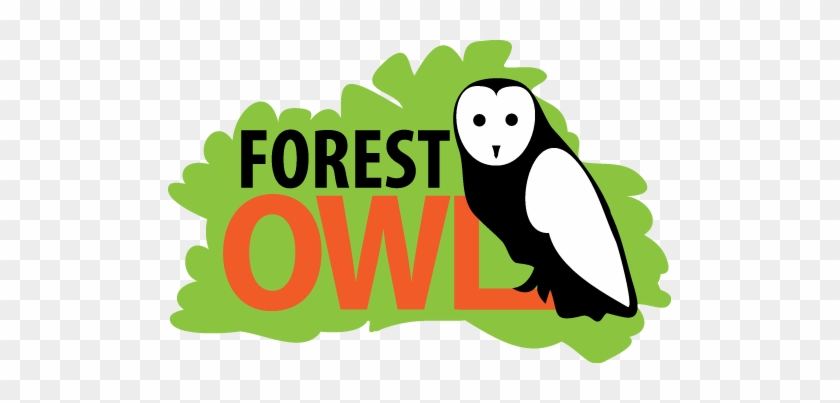 Forest Owl Are Bedford Based Forest School - Texas Pest Control Association #727184